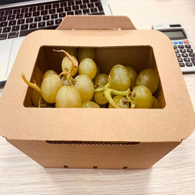 Fruits packing cheap